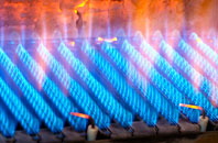 Baunton gas fired boilers